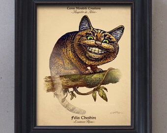 【即日発送】M∀LICE＜P＞Cheshire Cat プリズマ 中国語版 海外 中国限定 M∀LICE