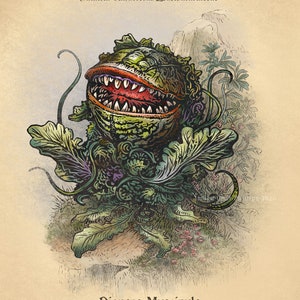 Audrey II Study-Unnatural History series 8&quot; x 10&quot; print