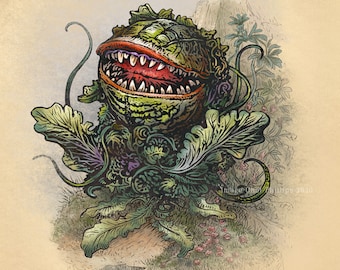 Audrey II Study-Unnatural History series 8&quot; x 10&quot; print