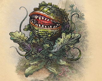 Audrey II Study-Unnatural History series 8" x 10" print