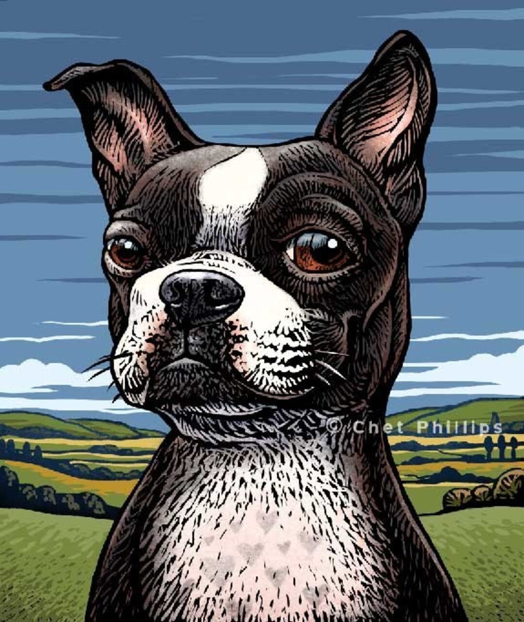 Boston Terrier- 8" X 10" Print - Etsy