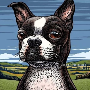 Boston Terrier- 8&quot; x 10&quot; print