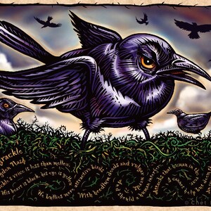 The Grackle 8x 10 signed print