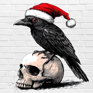 Könnte beinhalten: Ein schwarzer Rabe mit einem roten Weihnachtsmann-Hut, der auf einem weißen menschlichen Schädel sitzt. Der Rabe hat rote Augen und blickt nach links. Der Schädel blickt nach rechts.