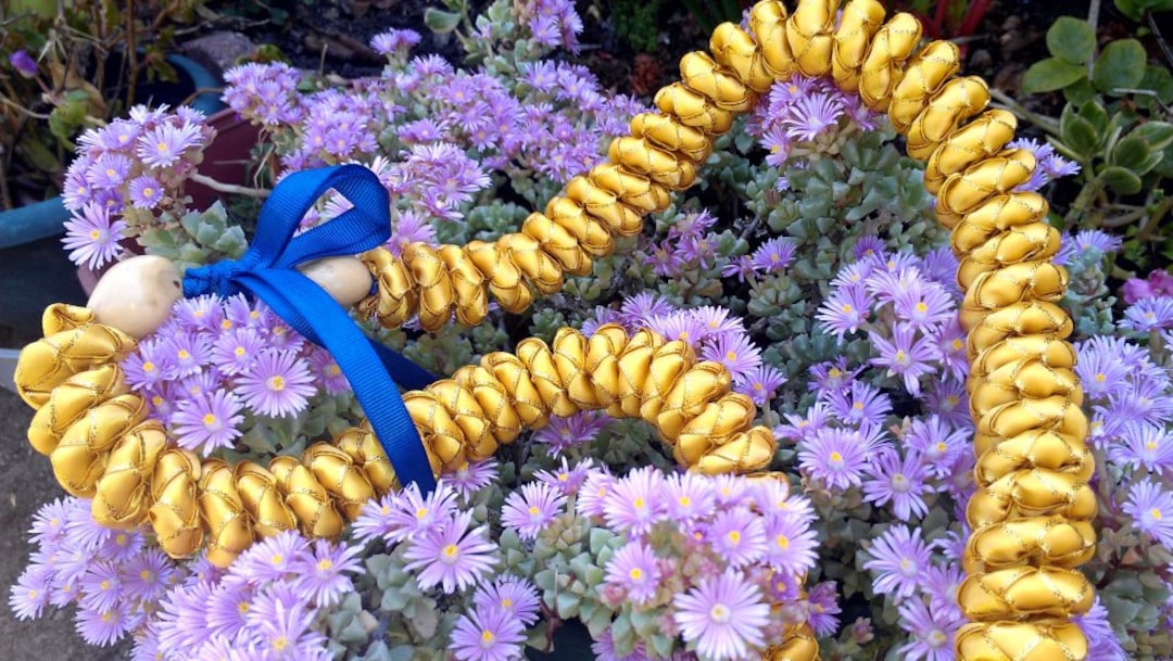 Shampoo Ginger Ribbon Lei Etsy