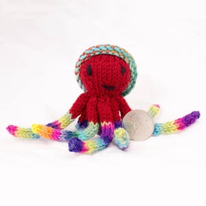 Octopus with Socks and Hat Hand Knit Mini Doll Multi Color image 3
