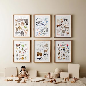6 Animals Poster, Edu Kids Poster Boho, Animal Classification, Montessori Materials, Digital Printing, Homeschool decor, Nursery Wall Decor