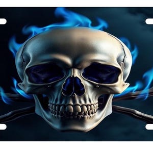May include: License plate featuring a detailed skull with blue flames and crossed bones against a dark background. The skull has a realistic appearance with visible teeth and eye sockets. The flames add a dynamic element.