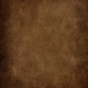 Brown Portrait Studio Digital Backdrop | Photography Backdrop | hickory.jpg | From The Shades of Brown Collection | Background