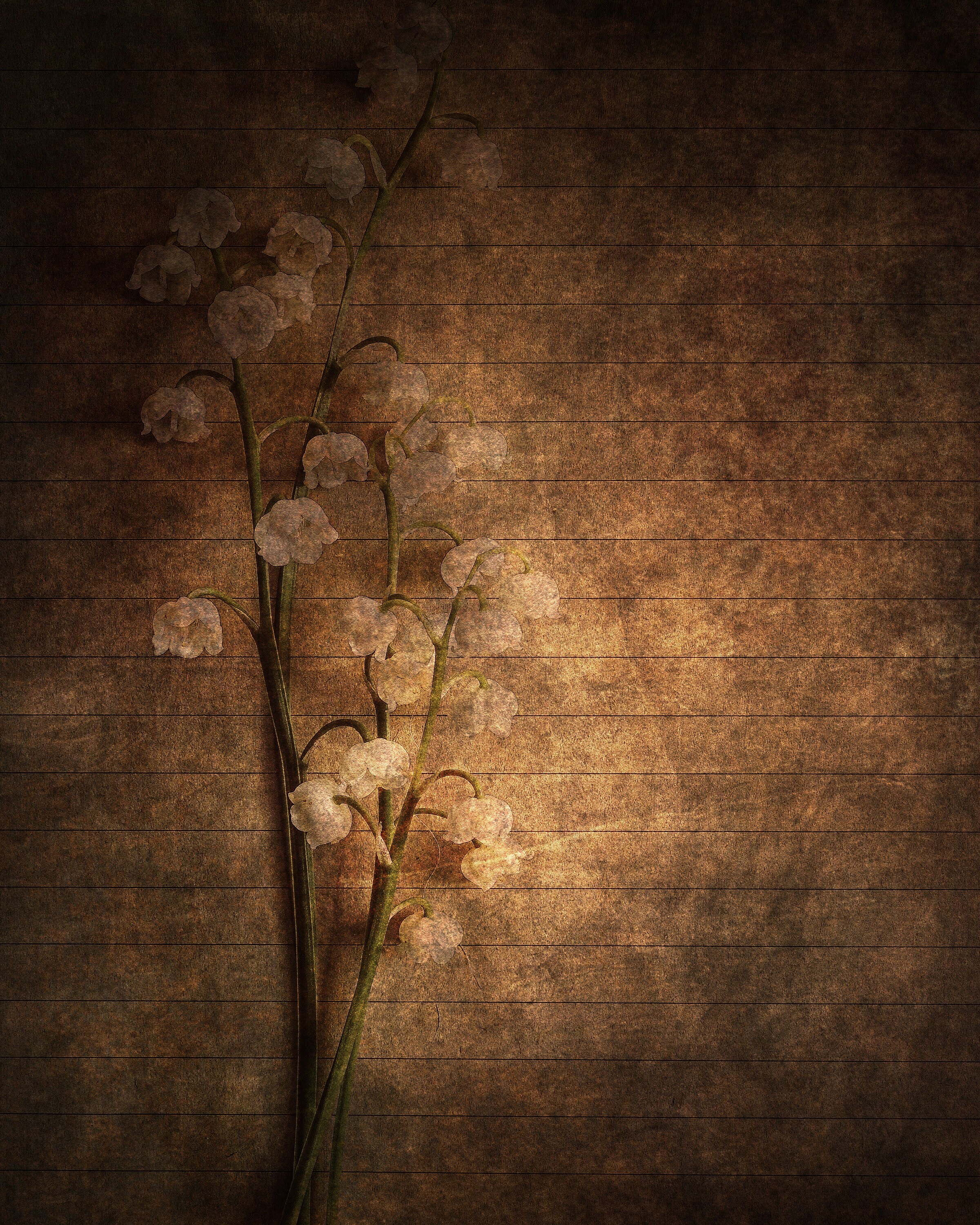 The Aromatic Collection Floral Digital Backgrounds A Mixture | Etsy