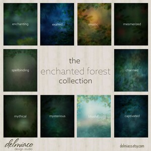 Puede incluir: Una colección de 10 fondos digitales que presentan una variedad de escenas de bosque. Los fondos están borrosos y tienen una calidad de ensueño y etérea. Las palabras "the enchanted forest collection" están escritas en texto blanco sobre un fondo de veta de madera.