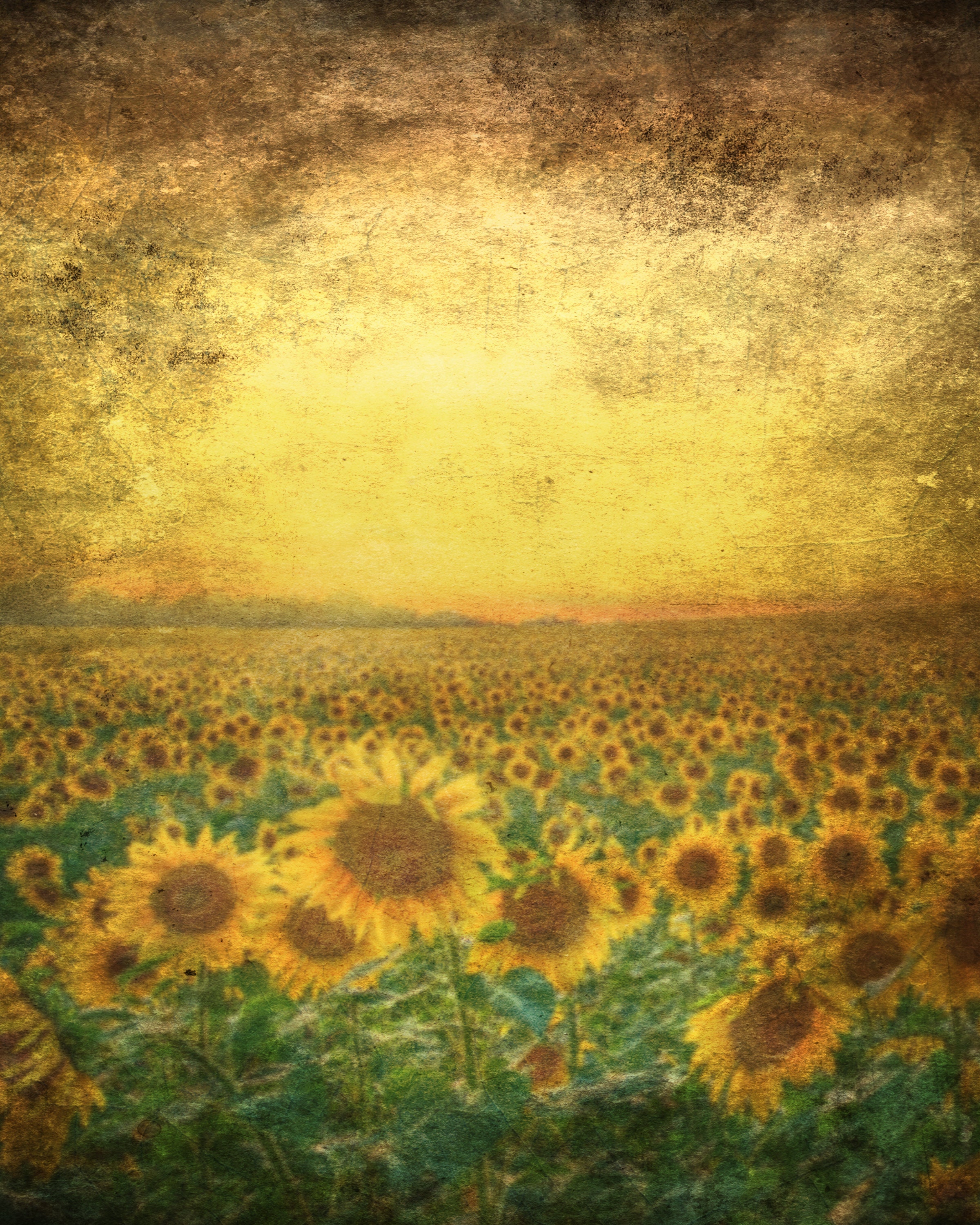 抽象的なひまわり畑のデジタル背景：花の写真（即時ダウンロード