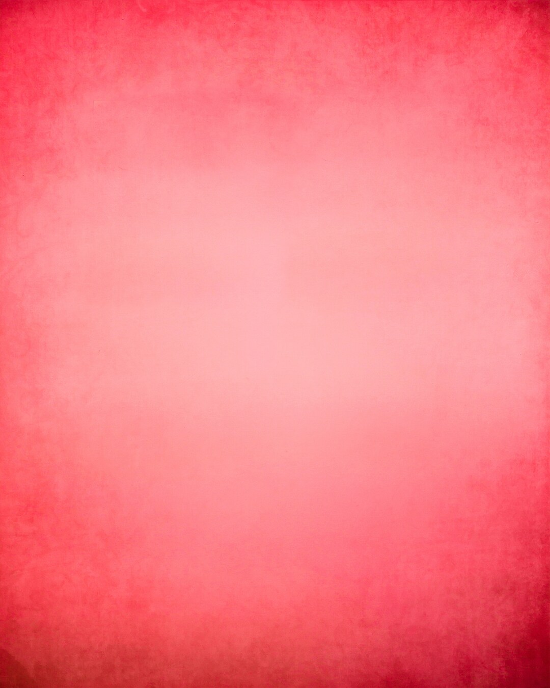 Pink Potrait Valentine Rose Pink Portrait Digital Backdrop (digital Download) - Etsy