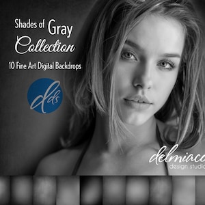 Shades of Gray Collection Photography Digital Backdrop A complete selection of Gray Shades Photography Backdrop Green Screen image 2