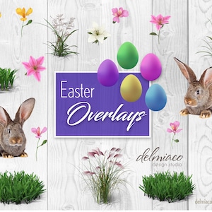 Premium PSD  Easter egg bunch of colorful eggs on transparent background  png clipart