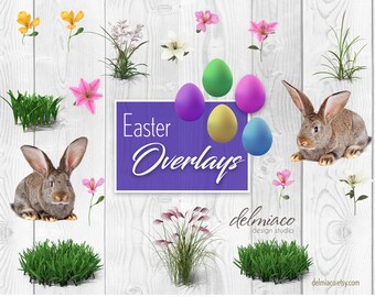 Easter Bunnies, Lillys, Eggs, Grass Overlay | Instant Download | 22 PNG files | 300 dpi | Photoshop
