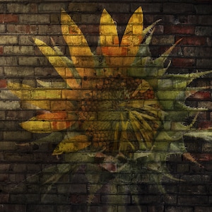Sunflower on a Brick Wall Digital Backdrop | Abstract Floral Background | High Quality | Instant Download