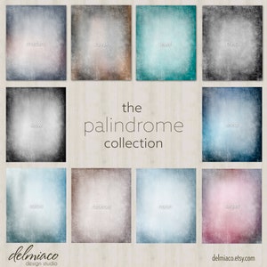 The Palindrome Collection, Studio Digital Photo Backdrop,Soft Pastel Digital Backgrounds, Photo Background, Great for School Pictures