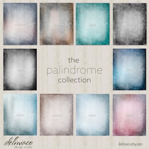 The Palindrome Collection, Studio Digital Photo Backdrop,Soft Pastel Digital Backgrounds, Photo Background, Great for School Pictures