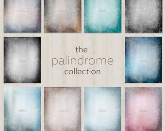 The Palindrome Collection, Studio Digital Photo Backdrop,Soft Pastel Digital Backgrounds, Photo Background, Great for School Pictures