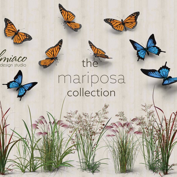 Realistic Butterfly Photoshop Overlays, The Mariposa Collection, High Quality PNG Overlays, High Quality 300 dpi