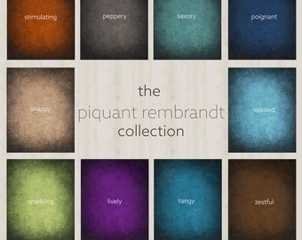 The Piquant Rembrandt Collection Photography Digital Backdrop | A mixture of deep color hues to add the perfect contrast to any portrait