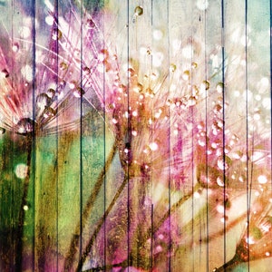 Floral Splash Painted on a Wooden Fence Digital Backdrop | Floral Background | Scrapbook Paper | Instant Download