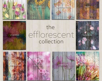 Floral Patterns on Wooden Fences Backgrounds | The Efflorescent Collection | Photography Digital Backdrop Bundle | Floral Background