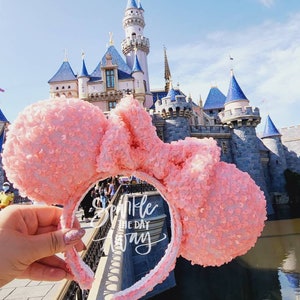 Coral Crush Ears