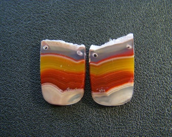 Laguna Agate Polished Bibs - Pair - 14x20mm