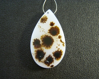 Dendritic Plume Agate Polished Flat Cut Drop - Focal - 20x33mm