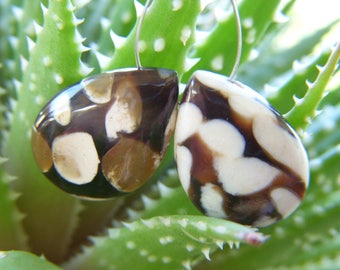 Petrified Peanut Wood Drops - Pair - 13x18.5mm