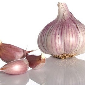 Könnte beinhalten: Eine ganze Knoblauchknolle mit drei Zehen, alle mit einer violettfarbenen Haut.