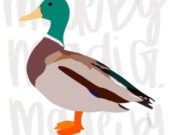 Anatra selvatica PNG. Solo download digitale