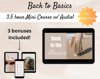 Back to Basics Course with MRR + PLR | 3.5 Hours Video and Audio Course | A Successful Digital Marketing Business Guide | DFY Mini Course