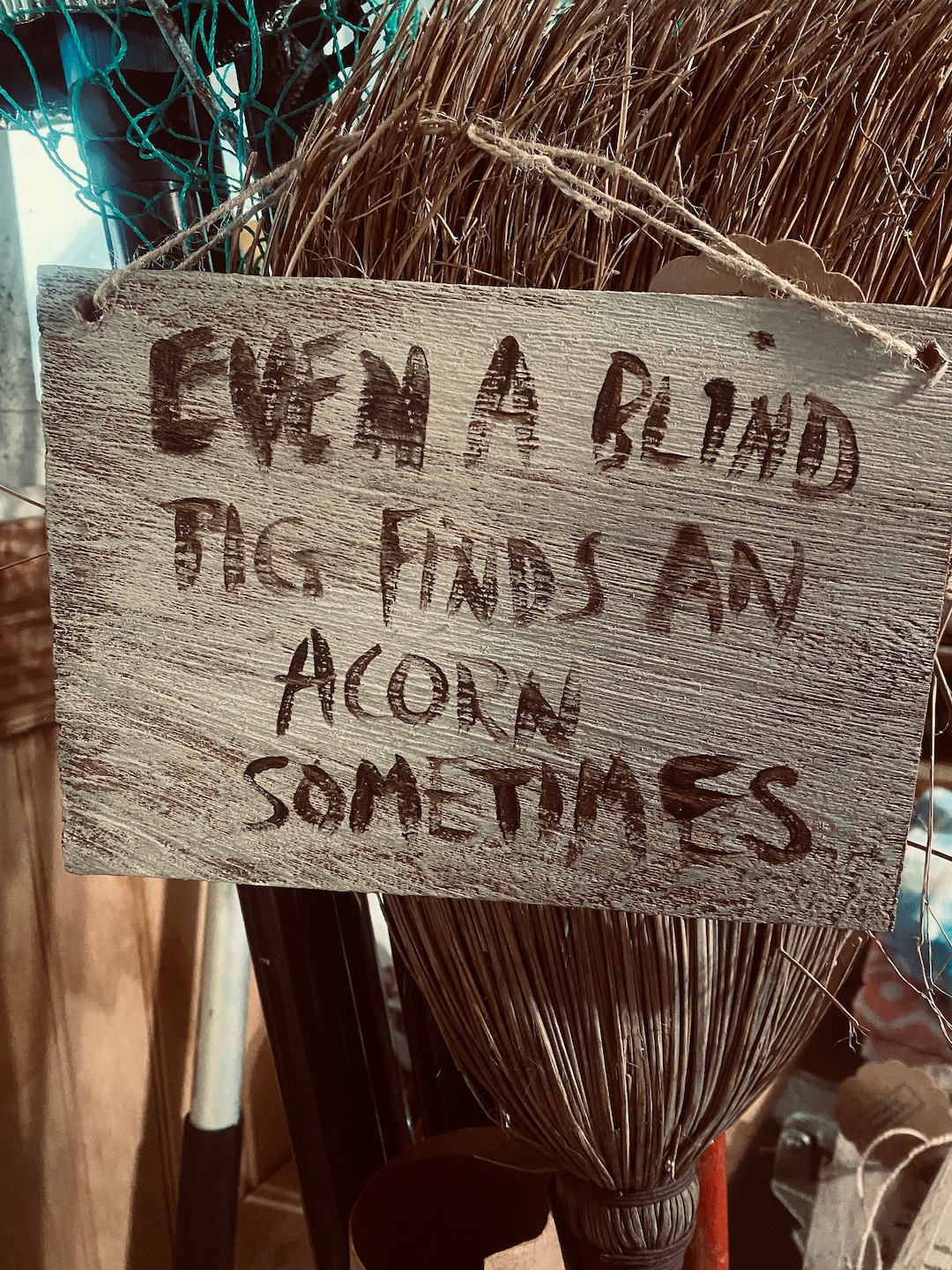 SAVE15 Even A Blind Pig Finds an Acorn Sometimes 8x5 Etsy