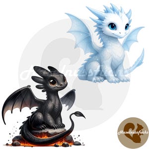 Könnte beinhalten: Illustration von zwei Zeichentrickdrachen. Einer ist schwarz, mit großen Augen und sitzt auf einer Felsformation. Der andere ist weiß mit blauen Akzenten und Flügeln. Beide Drachen haben große Augen und sitzen.