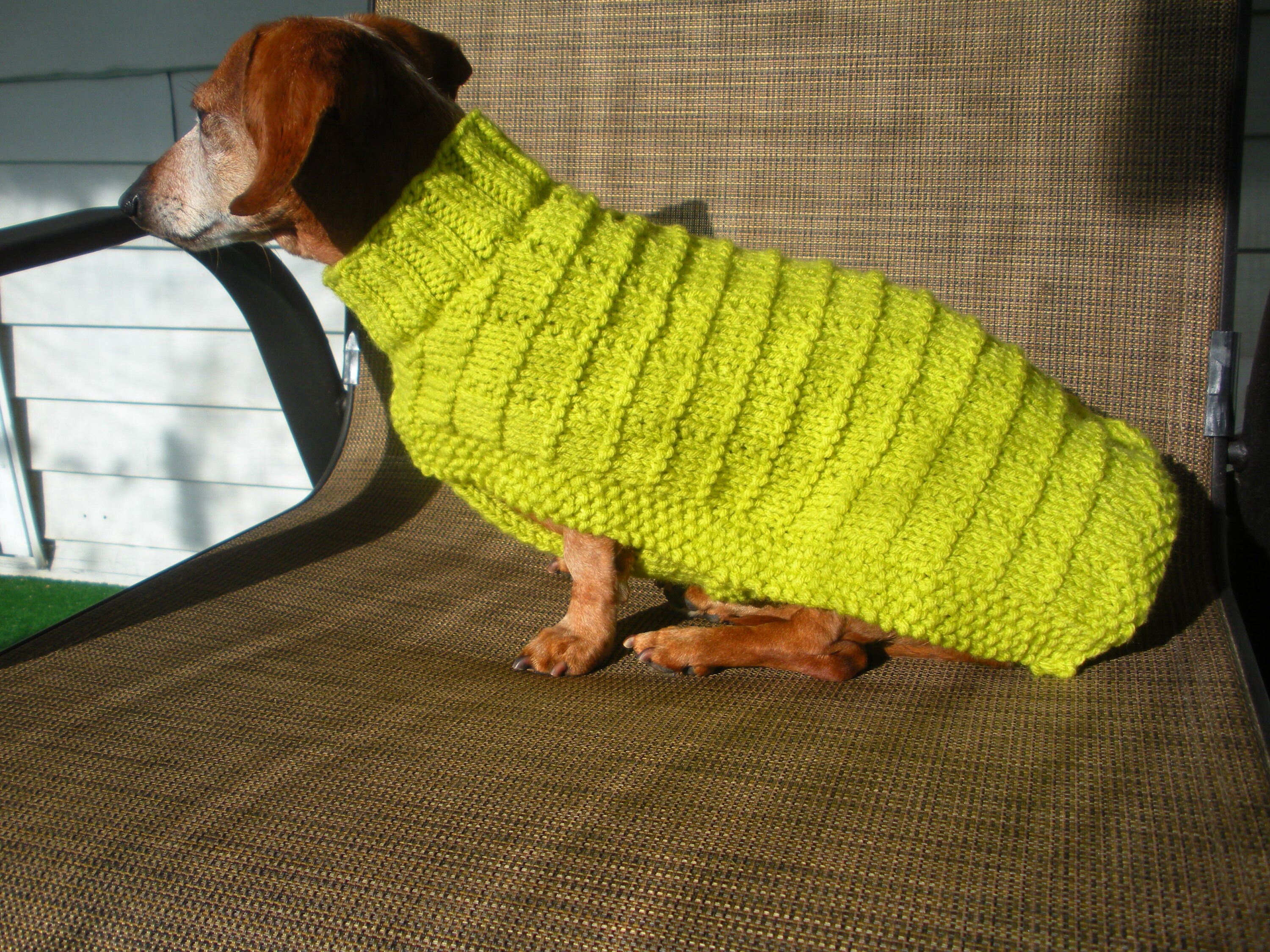 Sweater Pattern For Mini Daschaunds, Doxie, Dachshund, Knitted Dog F00