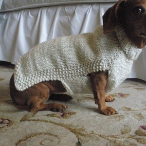 Puede incluir: Un perro salchicha marrón con un suéter crema tejido a mano. El suéter tiene un cuello alto y cubre la espalda y el pecho del perro. El perro está sentado sobre una alfombra con estampado floral.