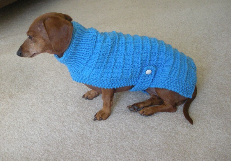 Sweater Pattern For Mini Daschaunds, Doxie, Dachshund, Knitted Dog