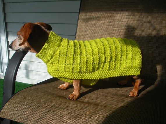 dachshund knitted jumper