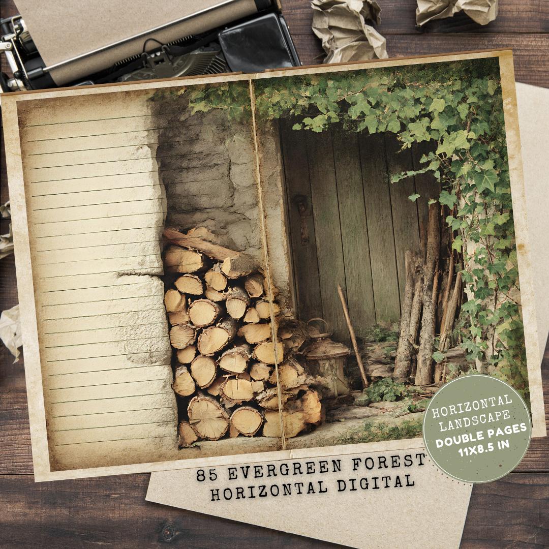 Evergreen Forest Junk Journal Fillers Papers: Cabin Lined Pages ...