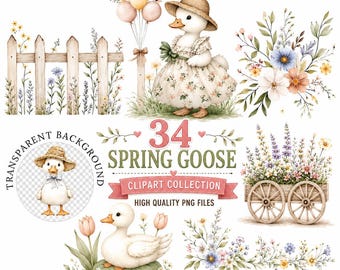 Watercolor Baby Goose Clipart: Spring Illustrations (Digital Download)