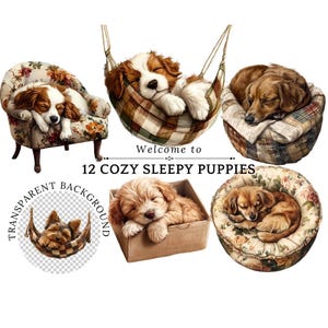 Cozy and Lazy Dog Clipart, Lazy Dog Png, Dog Lover Png, Sleeping Dog, Sleeping Dog Png, Puppy Png, Dog Mom Png, Cute Dog Illustrations