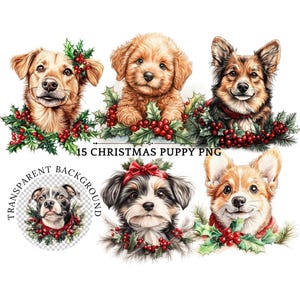 Cachorro navideño PNG, adorable perro con acebo y pino, ilustración vintage dibujada a mano para tarjetas navideñas y manualidades, amantes de los perros