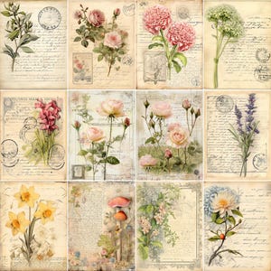Puede incluir: Una colecci&oacute;n de estampas bot&aacute;nicas de estilo vintage con diversas flores, como rosas, peon&iacute;as y lavanda. Cada estampa tiene un aspecto descolorido y envejecido con escritura manuscrita y sellos postales, creando una est&eacute;tica nost&aacute;lgica. La paleta de colores incluye rosas, amarillos y verdes suaves.