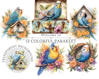 Parakeet Clipart: Bird PNG Clipart with Flowers (Instant Download, Commercial Use)