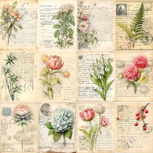 Puede incluir: Una colecci&oacute;n de doce l&aacute;minas de arte bot&aacute;nico de estilo vintage. Cada l&aacute;mina presenta un arreglo floral diferente, incluyendo rosas, peon&iacute;as y tulipanes, sobre un fondo de papel envejecido con escritura manuscrita y sellos.