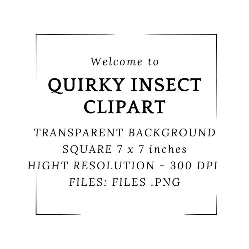 May include: Black and white text on a white background within a black square frame. The text reads "Welcome to Quirky Insect Clipart", "Transparent Background", "Square 7 x 7 inches", "Hight Resolution - 300 DPI", and "Files: Files.PNG".