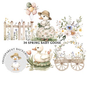 Clipart de ganso bebê primavera, ilustrações fofas em aquarela para chá de bebê, festa de aniversário, uso comercial, arte caprichosa